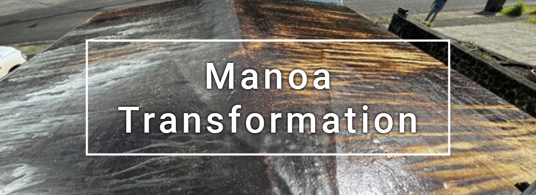 image of dirty roof on a  Manoa home that was cleaned by Pacific Spray Wash